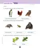 Miniatura página 185 de Ciencias Naturales – Primero Básico | Texto del Estudiante (MINEDUC) – Descargar PDF · 2024