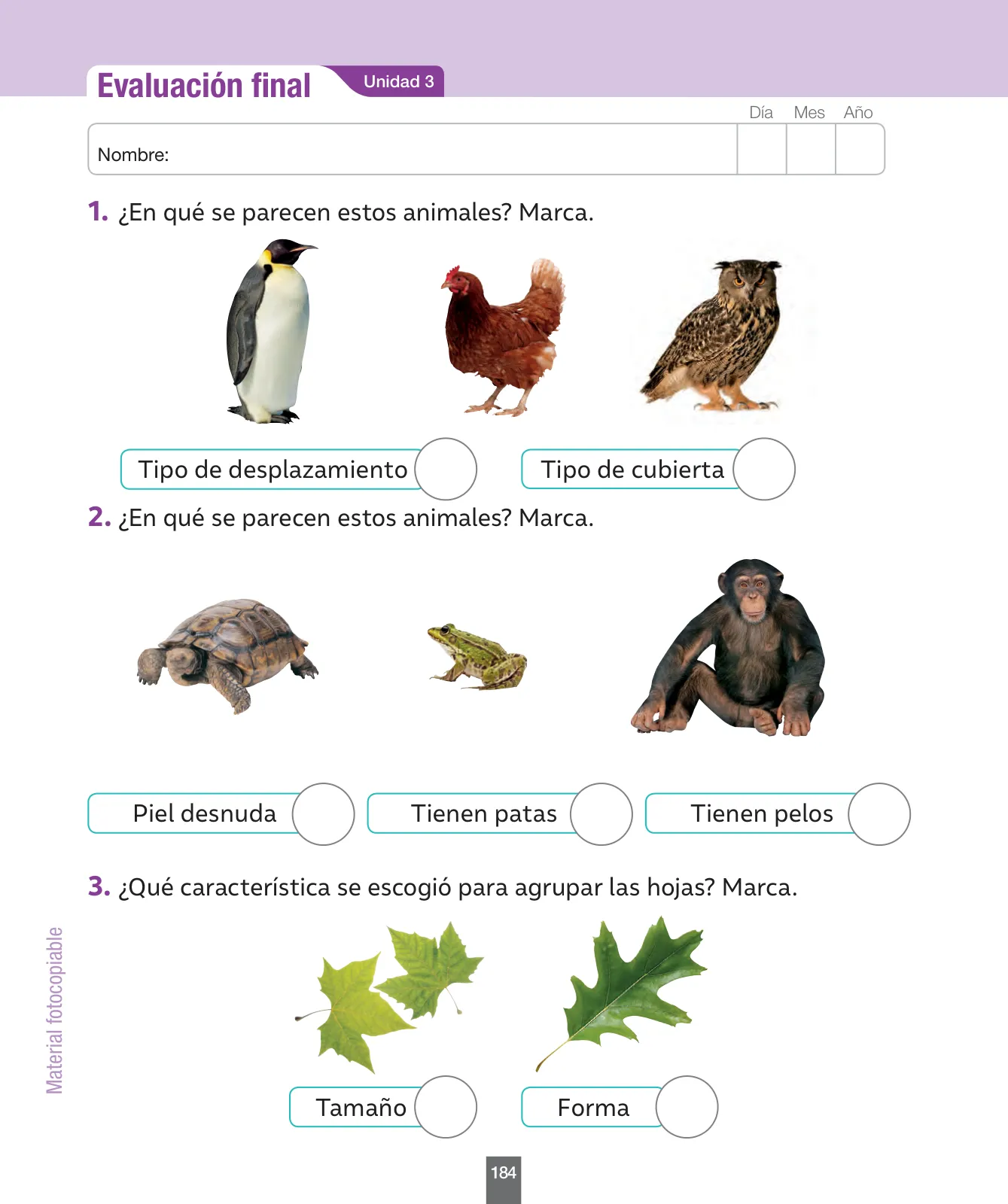 Miniatura página 185 de Ciencias Naturales – Primero Básico | Texto del Estudiante (MINEDUC) – Descargar PDF · 2024