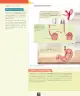 Miniatura página 29 de Ciencias Naturales – Octavo Básico | Texto del Estudiante MINEDUC – Descargar PDF · 2024