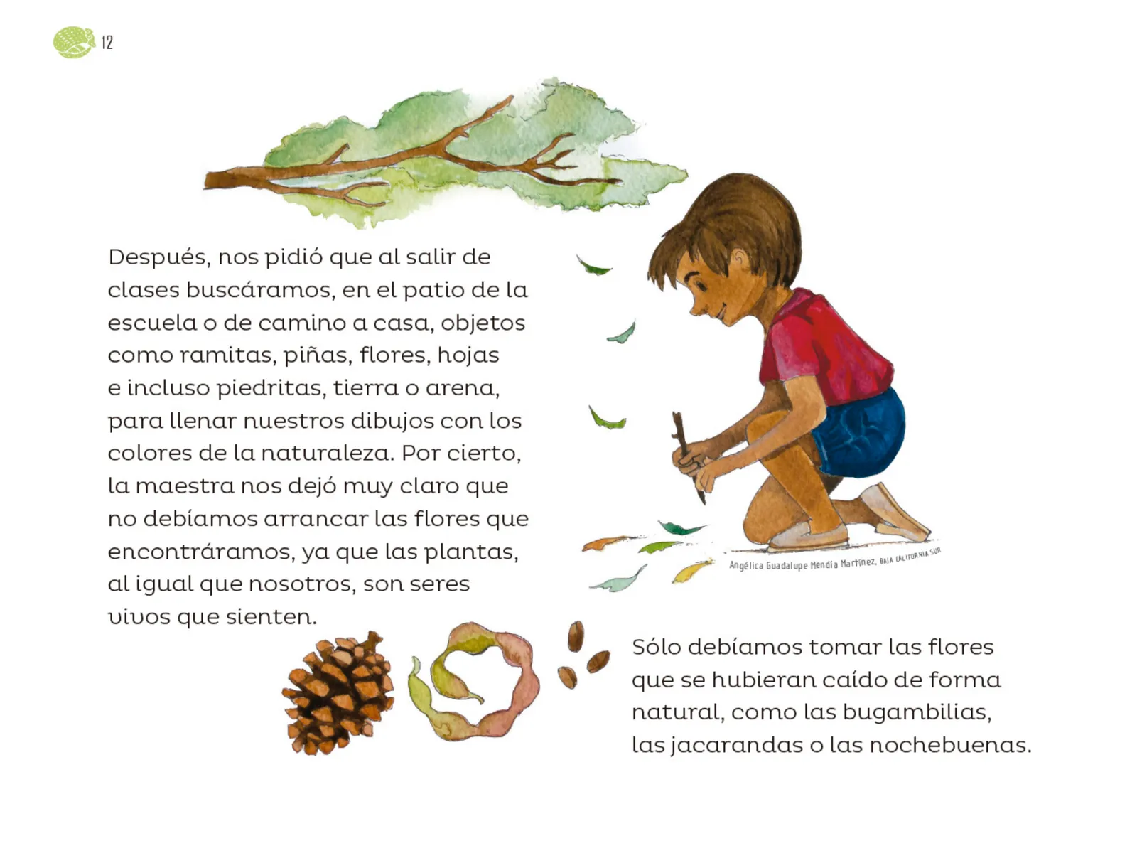 Miniatura página 13 de Múltiples lenguajes.   Libro de Educación Preescolar Grado 1°  Ciclo Escolar 2025 - 2026