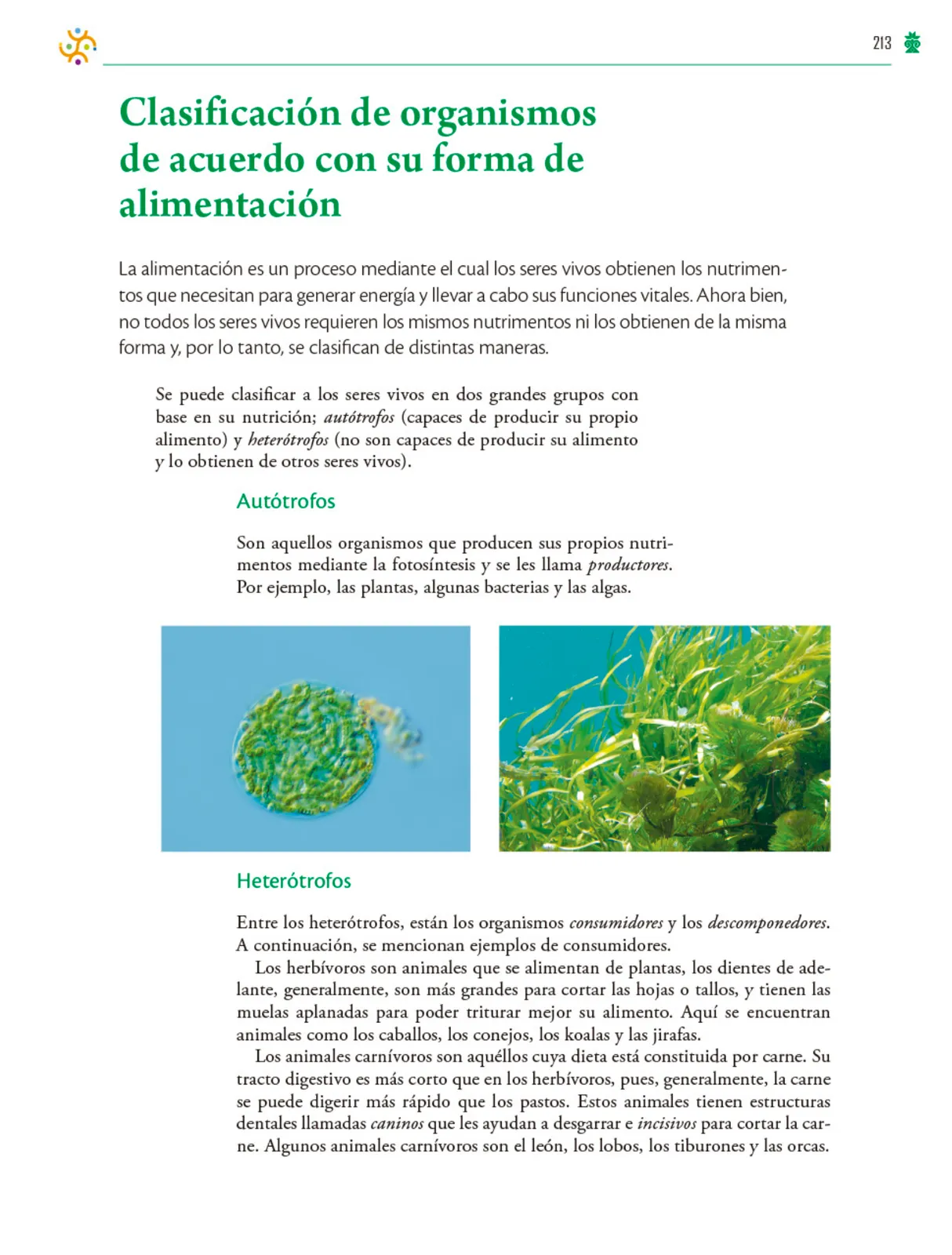 Miniatura página 214 de Colección Ximhai. Saberes y pensamiento científico.   Libro de Educación Telesecundaria Grado 1°  Ciclo Escolar 2025 - 2026
