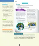 Miniatura página 87 de Inglés – Séptimo Básico | Student’s Book MINEDUC – Descargar PDF · 2024