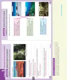 Miniatura página 163 de Ciencias Naturales – Segundo Básico | Texto del Estudiante MINEDUC – Descargar PDF · 2024