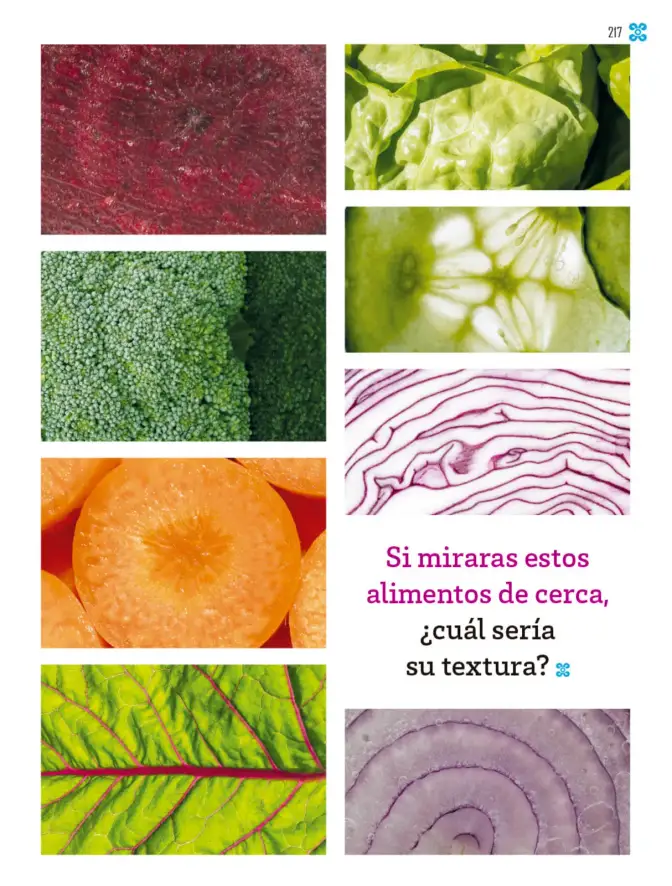 Página 218 de Múltiples lenguajes. Libro de Educación Primaria Grado 2° Ciclo Escolar 2025 - 2026