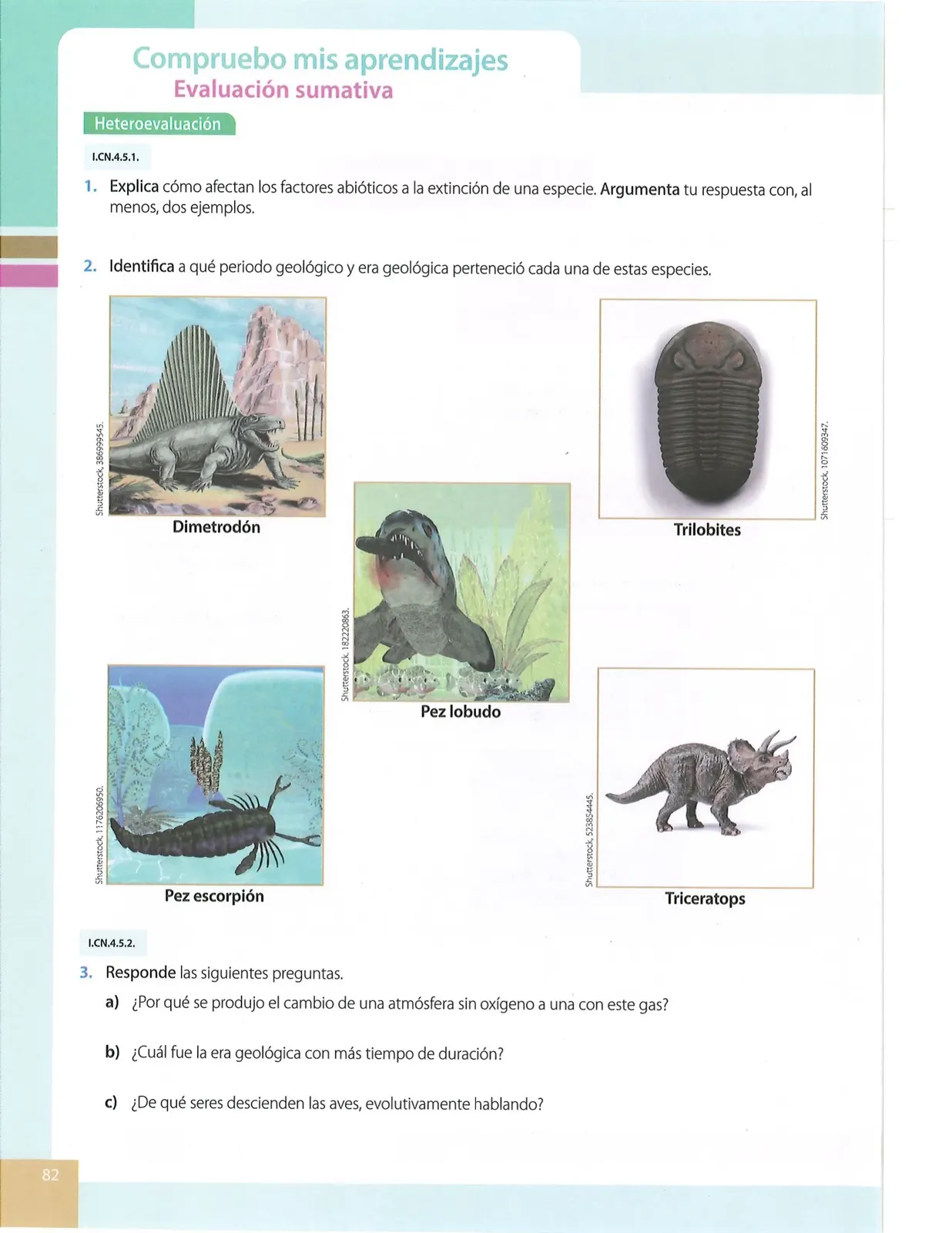 Página 79 de Ciencias Naturales · 10 EGB · 2024