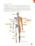 Miniatura página 99 de Ciencias Naturales – Cuarto Básico | Texto del Estudiante MINEDUC – Descargar PDF · 2024