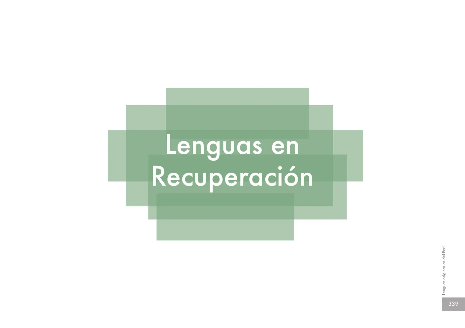 Miniatura página 341 de Lenguas originarias del Perú · 2018