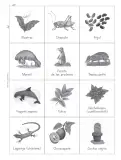 Miniatura página 96 de Múltiples lenguajes. Trazos y palabras.   Libro de Educación Primaria Grado 2°  Ciclo Escolar 2025 - 2026
