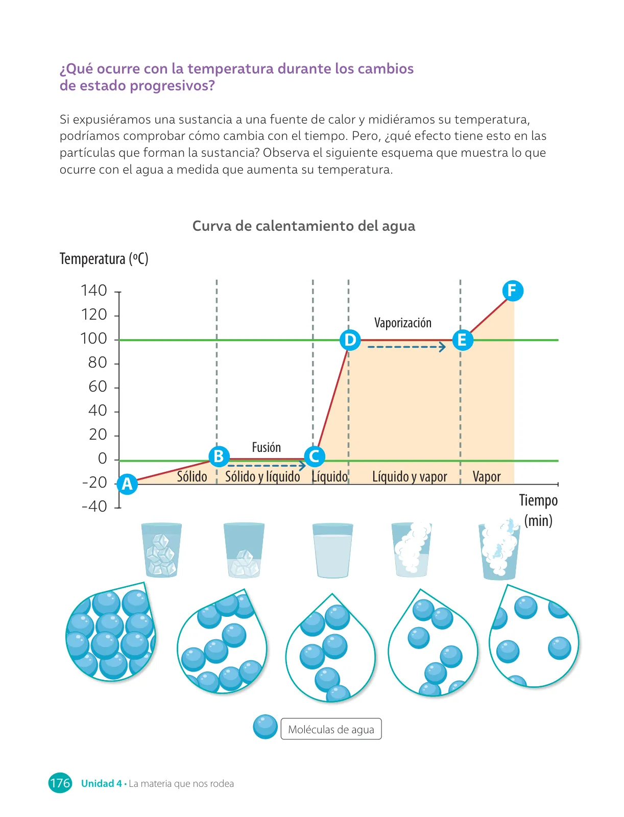 Página 178 de Libro de Ciencias Naturales – Quinto Básico | Texto del Estudiante MINEDUC – Descargar PDF · 2024