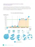 Miniatura página 178 de Libro de Ciencias Naturales – Quinto Básico | Texto del Estudiante MINEDUC – Descargar PDF · 2024