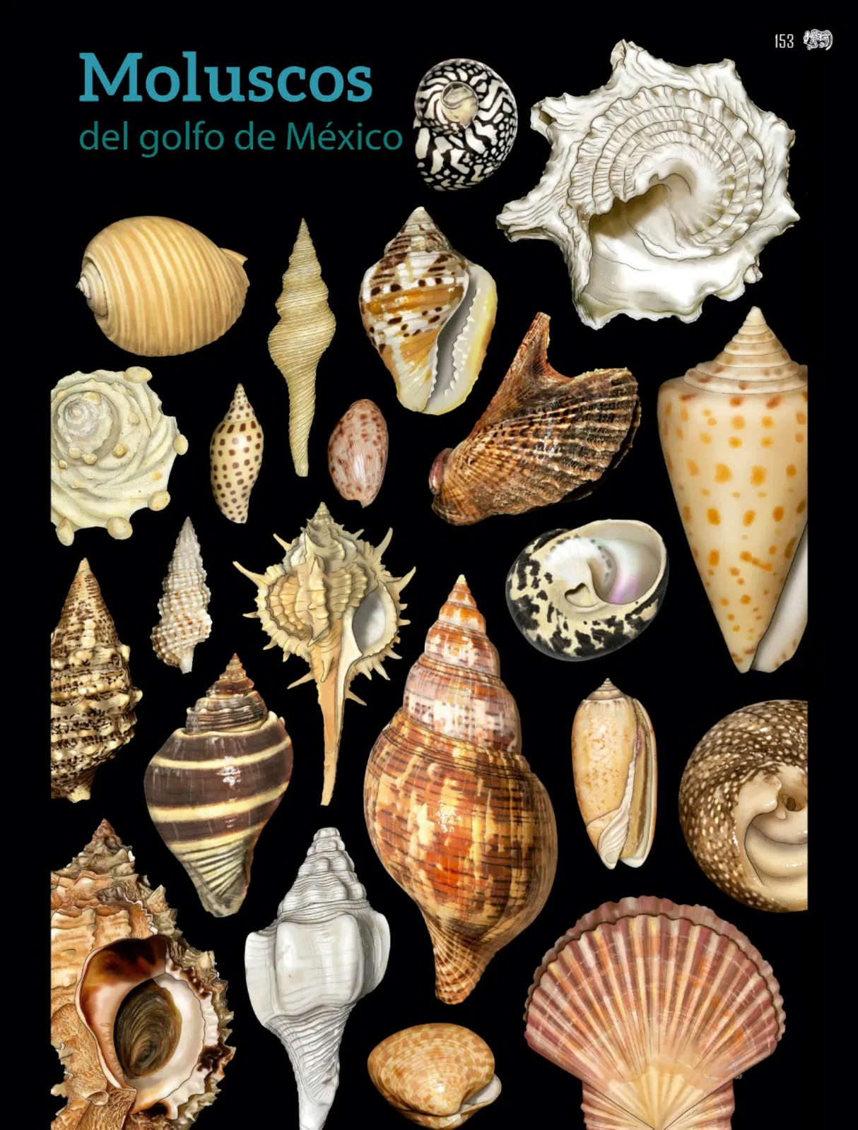 Pág 154