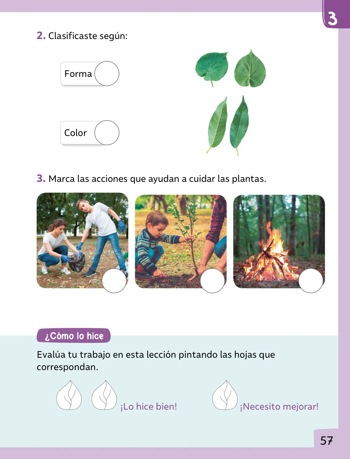 Miniatura página 58 de Ciencias Naturales – Primero Básico | Texto del Estudiante (MINEDUC) – Descargar PDF · 2024