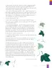 Miniatura página 27 de Lengua y Literatura – Octavo Básico | Texto del Estudiante MINEDUC – Descargar PDF · 2024