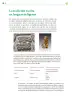 Miniatura página 163 de Colección Ximhai. Lenguajes.   Libro de Educación Telesecundaria Grado 1°  Ciclo Escolar 2025 - 2026