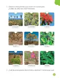 Miniatura página 85 de Ciencias Naturales – Primero Básico | Texto del Estudiante (MINEDUC) – Descargar PDF · 2024