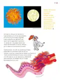 Miniatura página 118 de Múltiples lenguajes.   Libro de Educación Primaria Grado 3°  Ciclo Escolar 2025 - 2026