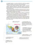 Miniatura página 7 de Cartografía de México y el mundo.   Libro de Educación Primaria Grado 4°  Ciclo Escolar 2025 - 2026