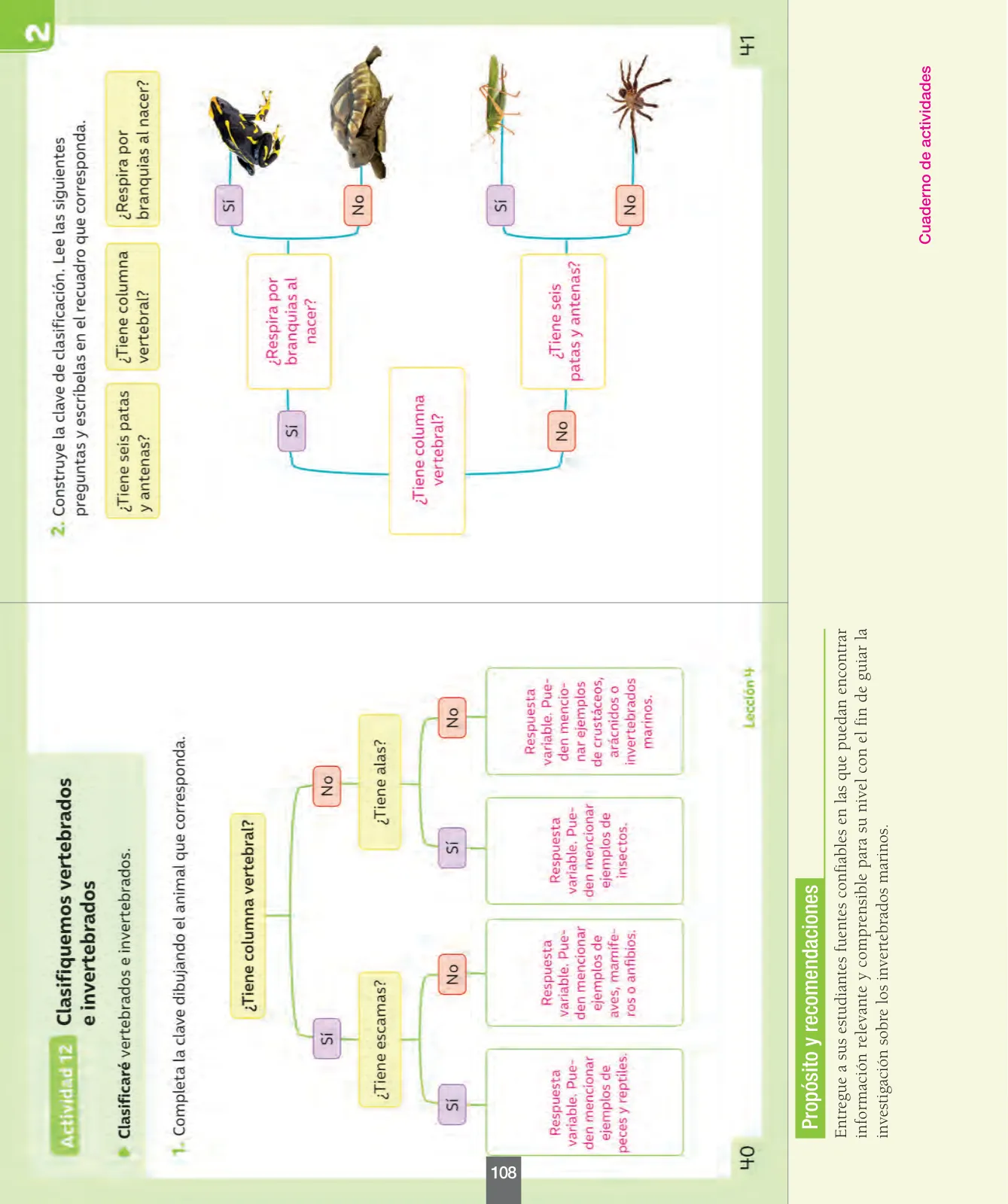 Página 109 de Ciencias Naturales – Segundo Básico | Texto del Estudiante MINEDUC – Descargar PDF · 2024