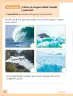 Miniatura página 73 de Ciencias Naturales – Segundo Básico | Texto del Estudiante MINEDUC – Descargar PDF · 2024