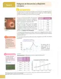 Miniatura página 116 de Matematica 8° · Egb 8 Matematica 2025 · 2025