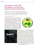Miniatura página 207 de Colección Nanahuatzin. Ética, naturaleza y sociedades.   Libro de Educación Secundaria Grado 3°  Ciclo Escolar 2025 - 2026