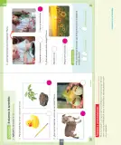 Miniatura página 109 de Ciencias Naturales – Primero Básico | Texto del Estudiante (MINEDUC) – Descargar PDF · 2024