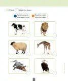 Miniatura página 120 de Ciencias Naturales – Primero Básico | Texto del Estudiante (MINEDUC) – Descargar PDF · 2024