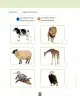 Miniatura página 120 de Ciencias Naturales – Primero Básico | Texto del Estudiante (MINEDUC) – Descargar PDF · 2024