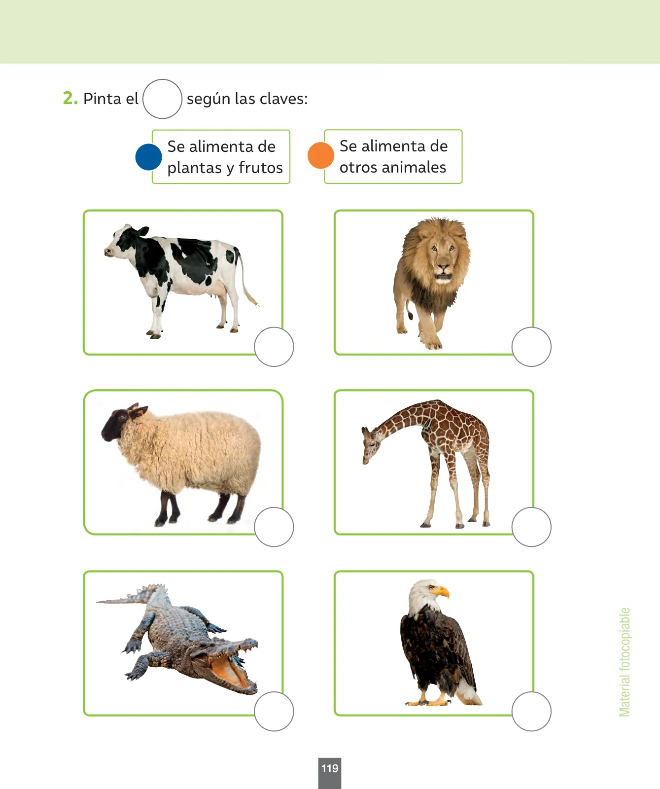 Miniatura página 120 de Ciencias Naturales – Primero Básico | Texto del Estudiante (MINEDUC) – Descargar PDF · 2024
