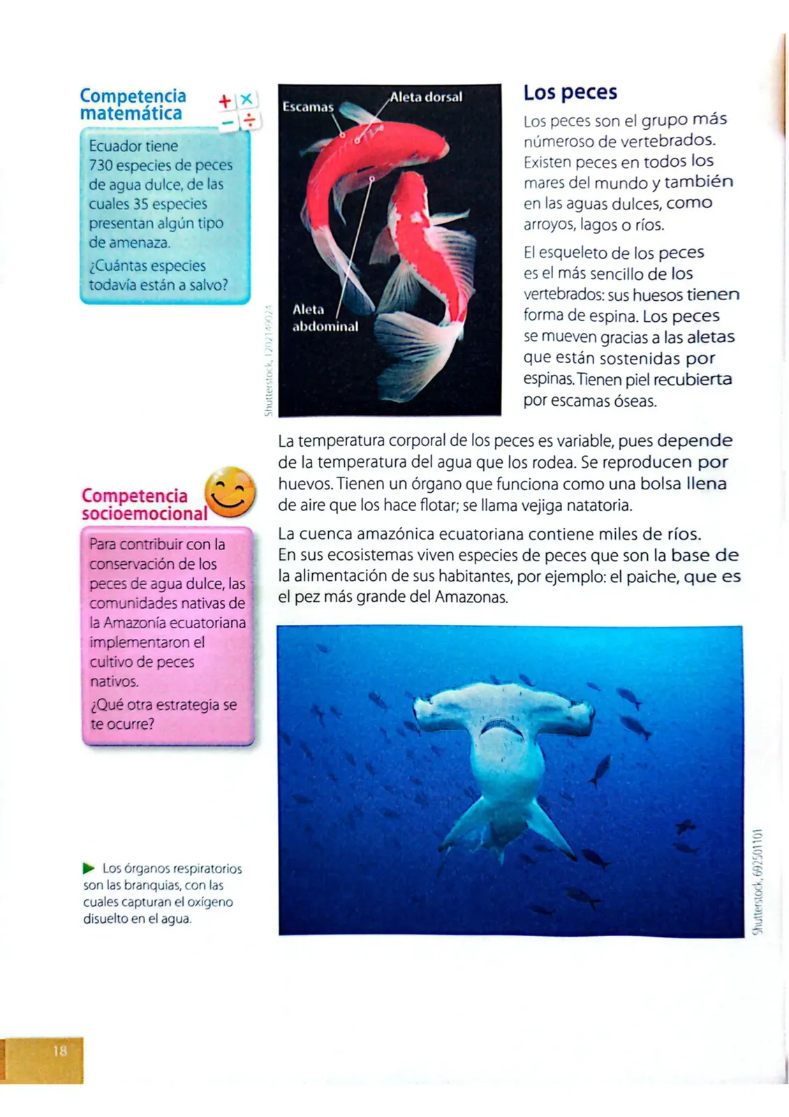 Página 15