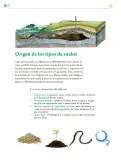 Miniatura página 113 de Colección Ximhai. Ética, naturaleza y sociedades.   Libro de Educación Telesecundaria Grado 1°  Ciclo Escolar 2025 - 2026