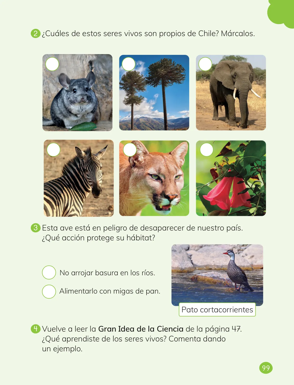 Miniatura página 101 de Ciencias Naturales – Primero Básico | Texto del Estudiante (MINEDUC) – Descargar PDF · 2024