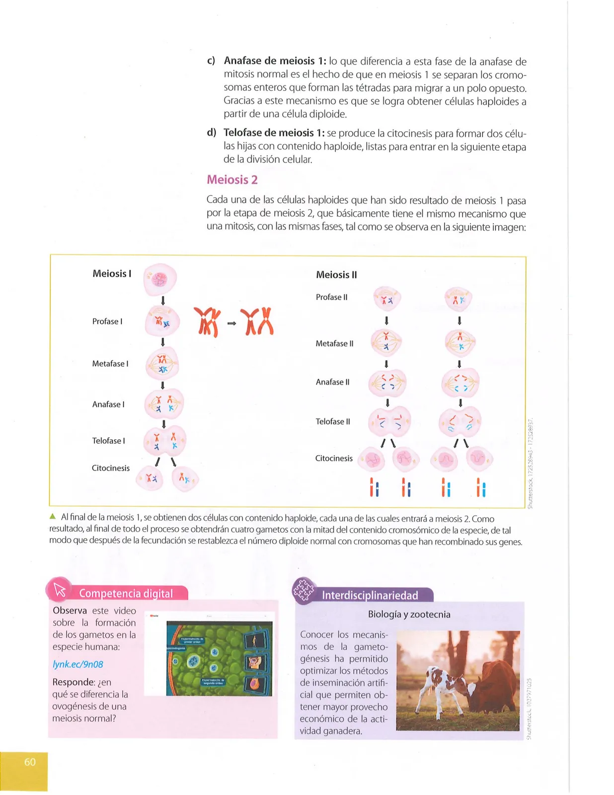 Miniatura página 61 de Ciencias Naturales · 9 EGB · 2024