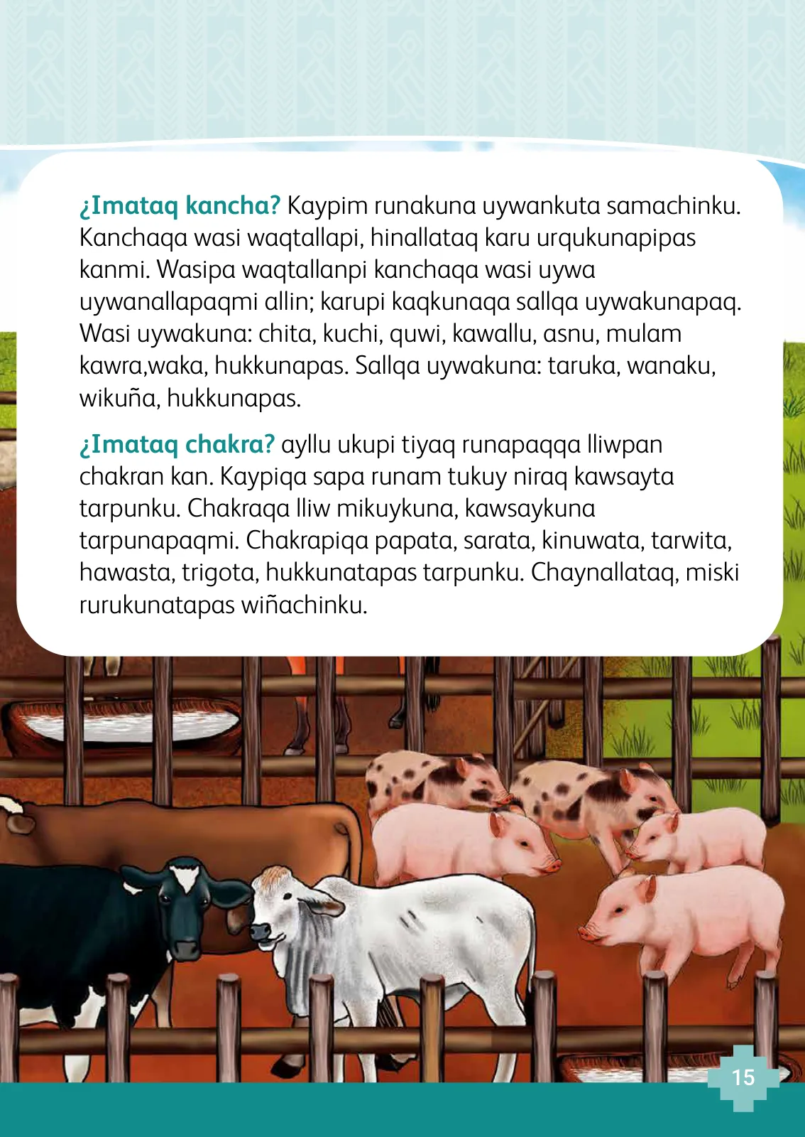 Página 17