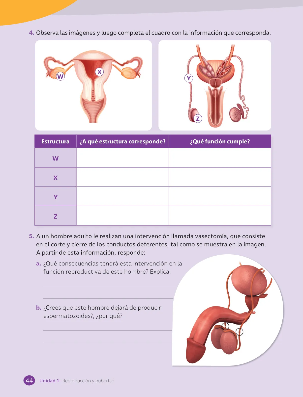 Miniatura página 46 de Libro de Ciencias Naturales – Quinto Básico | Texto del Estudiante MINEDUC – Descargar PDF · 2024