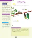Miniatura página 153 de Ciencias Naturales – Segundo Básico | Texto del Estudiante MINEDUC – Descargar PDF · 2024