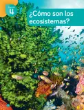 Miniatura página 138 de Ciencias Naturales – Cuarto Básico | Texto del Estudiante MINEDUC – Descargar PDF · 2024