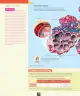 Miniatura página 35 de Ciencias Naturales – Octavo Básico | Texto del Estudiante MINEDUC – Descargar PDF · 2024