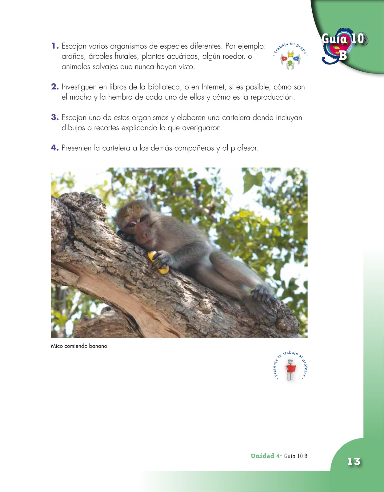 Miniatura página 13 de Ciencias Naturales 4° · Cartilla 02