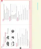 Miniatura página 45 de Inglés – Séptimo Básico | Student’s Book MINEDUC – Descargar PDF · 2024