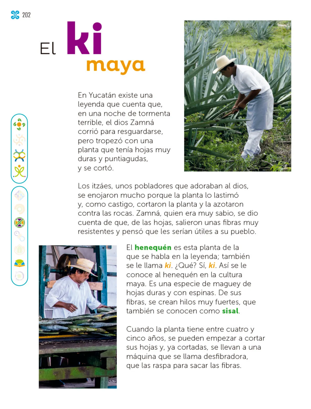 Página 203 de Múltiples lenguajes. Libro de Educación Primaria Grado 2° Ciclo Escolar 2025 - 2026
