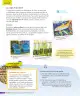 Miniatura página 165 de Ciencias Naturales – Tercero Básico | Texto del Estudiante MINEDUC – Descargar PDF · 2024