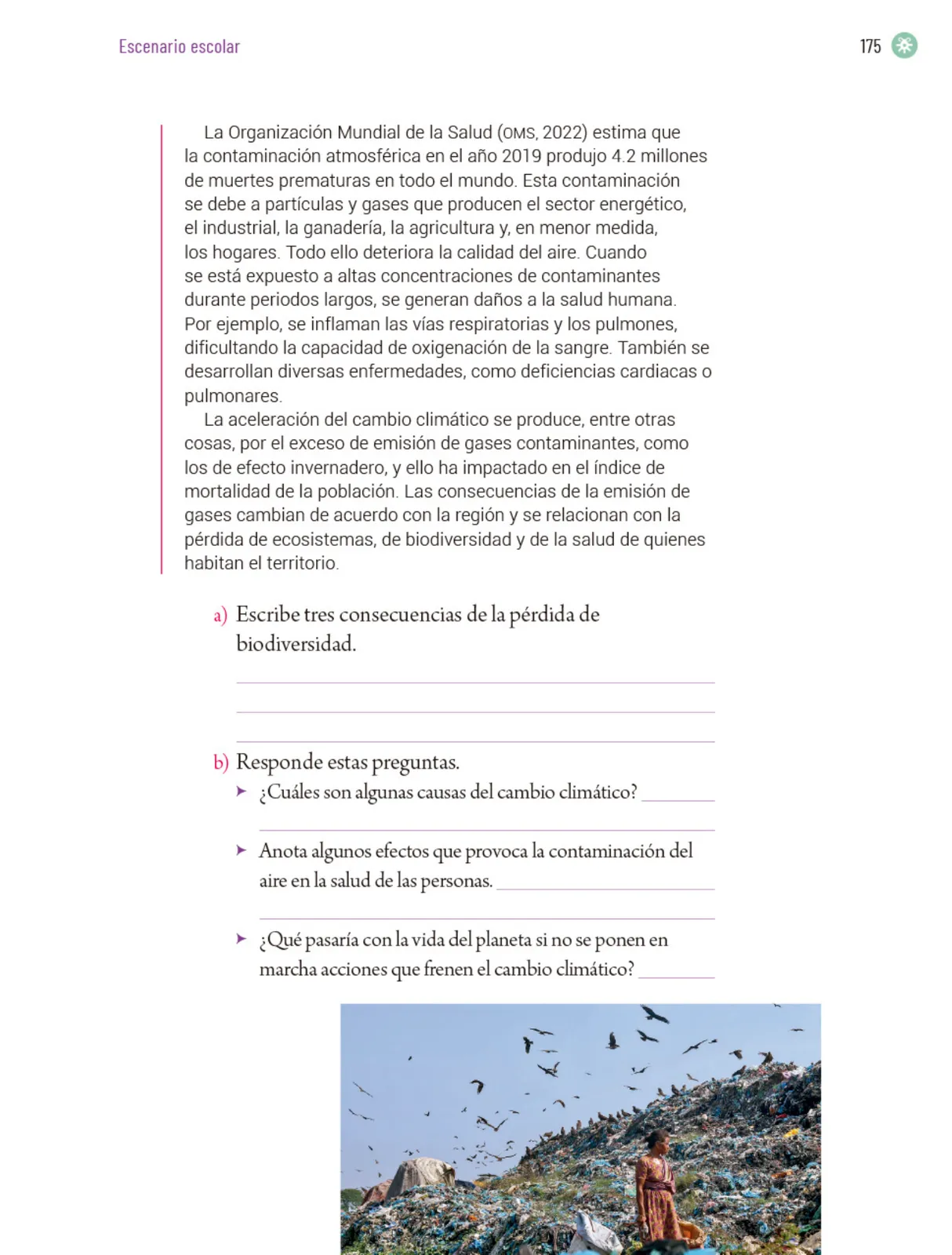 Página 178 de Proyectos Escolares.   Libro de Educación Primaria Grado 5°  Ciclo Escolar 2025 - 2026