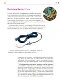 Miniatura página 306 de Colección Sk´asolil. Saberes y pensamiento científico.   Libro de Educación Secundaria Grado 2°  Ciclo Escolar 2025 - 2026