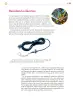 Miniatura página 306 de Colección Sk´asolil. Saberes y pensamiento científico.   Libro de Educación Secundaria Grado 2°  Ciclo Escolar 2025 - 2026