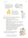 Miniatura página 66 de Nuestros saberes: Libro para alumnos, maestros y familia.   Libro de Educación Primaria Grado 6°  Ciclo Escolar 2025 - 2026