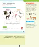 Miniatura página 78 de Ciencias Naturales – Segundo Básico | Texto del Estudiante MINEDUC – Descargar PDF · 2024