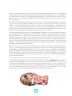 Miniatura página 20 de Fascículo para el desarrollo de la competencia Resuelve problemas de regularidad, equivalencia y cambio · 2024
