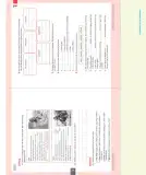 Miniatura página 48 de Inglés – Séptimo Básico | Student’s Book MINEDUC – Descargar PDF · 2024