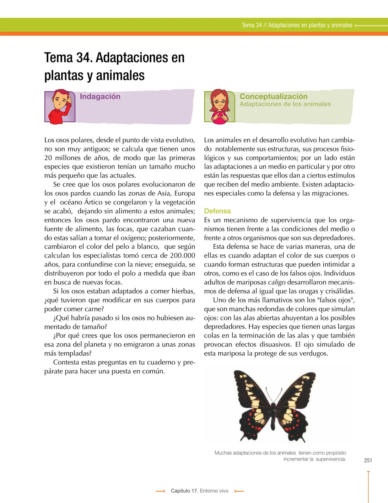 Página 251